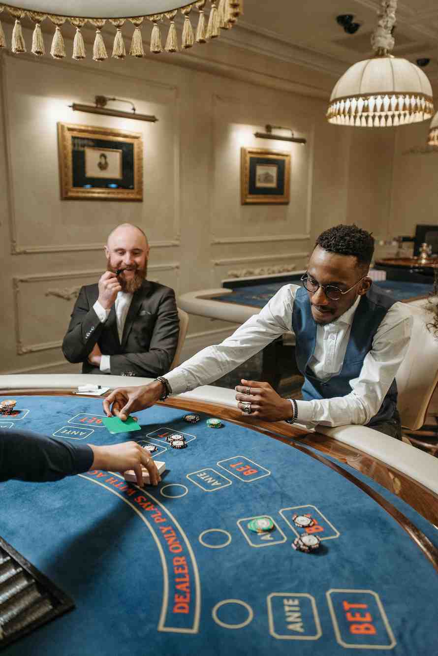 cat casino online